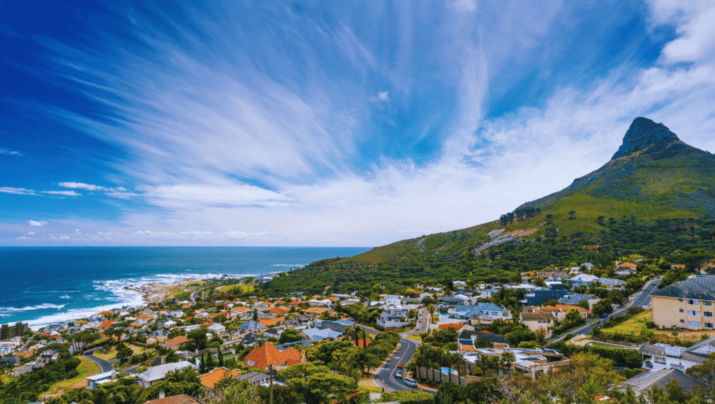 Cape Town Penguins