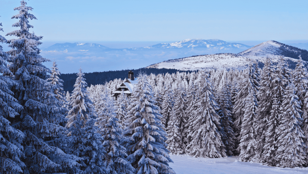 Kopaonik