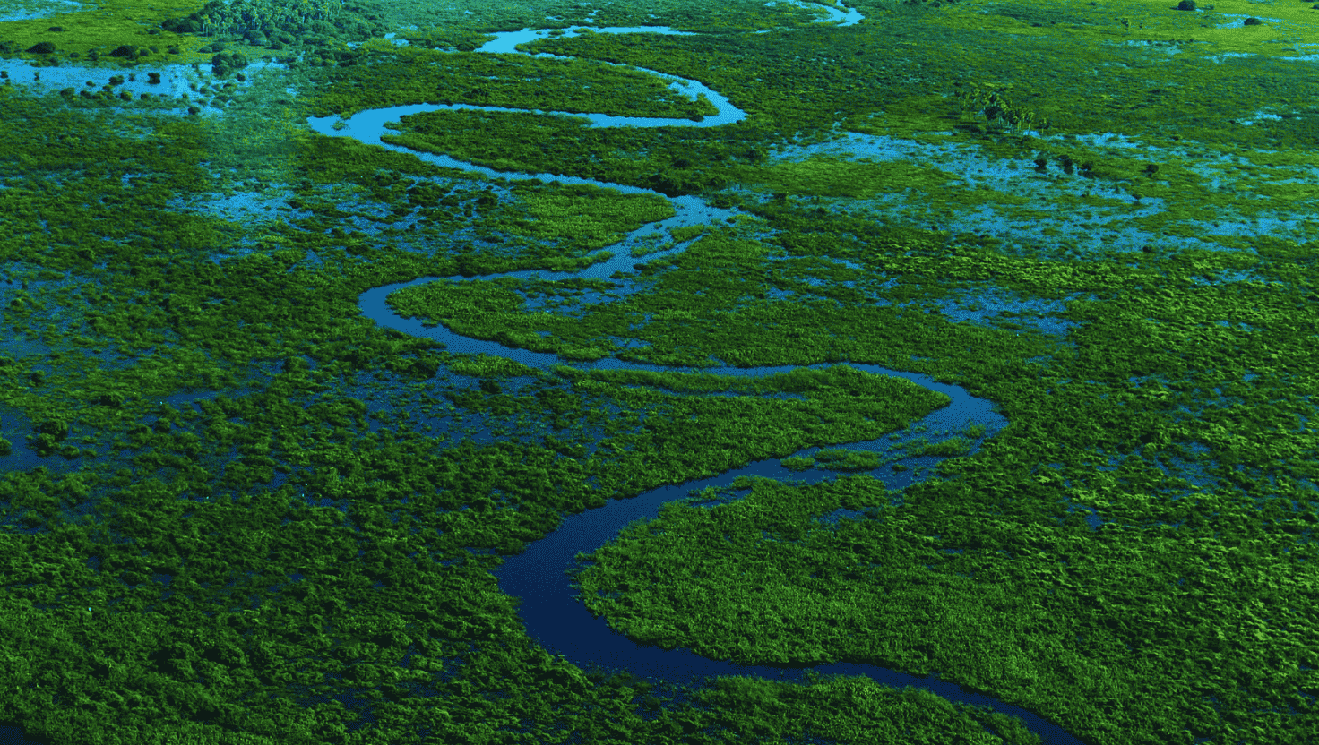 The Pantanal, Brazil: A Wildlife Safari into the Heart of South America