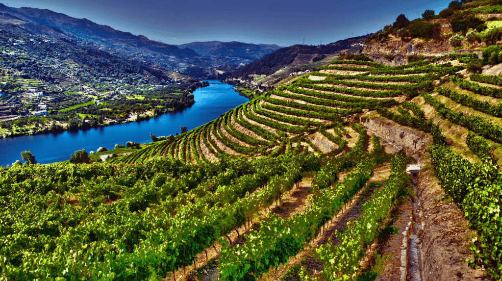 Douro Valley